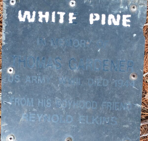 THOMAS GARDENER WHITE PINE MEMORIAL TREE PLAQUE