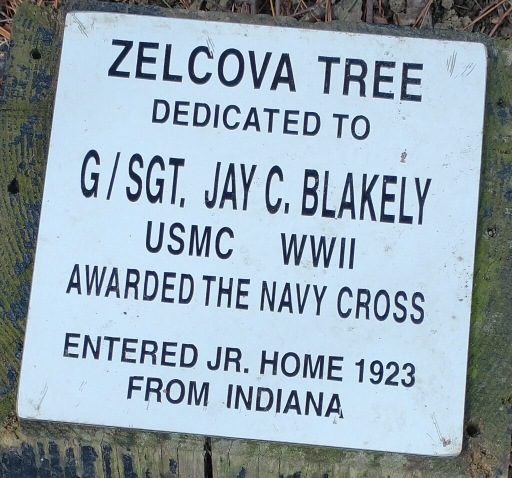 G/SGT. JAY C. BLAKEY ZELCOVA TREE MEMORIAL PLAQUE