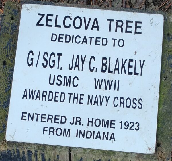 G/SGT. JAY C. BLAKEY ZELCOVA TREE MEMORIAL PLAQUE