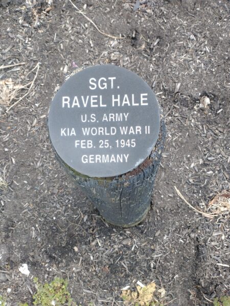 SGT. RAVEL HALE WAR MEMORIAL BOLLARD