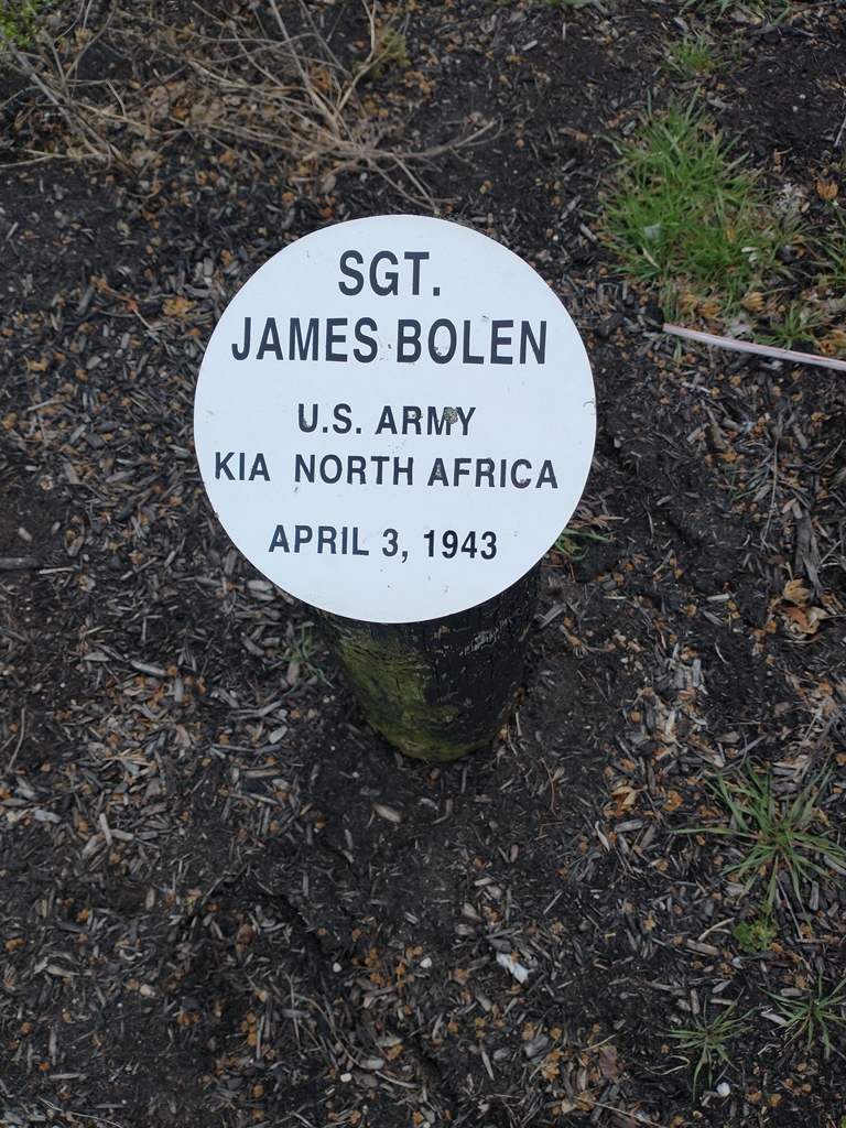 SGT. JAMES BOLEN WAR MEMORIAL BOLLARD