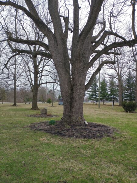 STEPHENS FAMILY MEMORIAL GARDEN