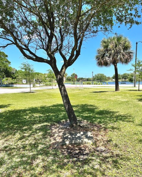 MELBOURNE LIBERTY TREE MEMORIAL