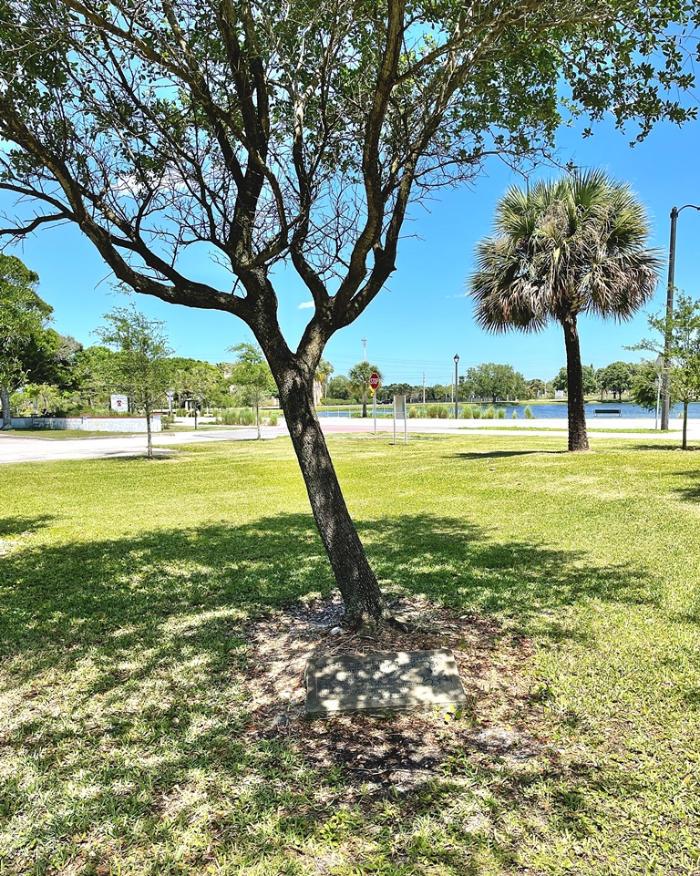 MELBOURNE LIBERTY TREE MEMORIAL