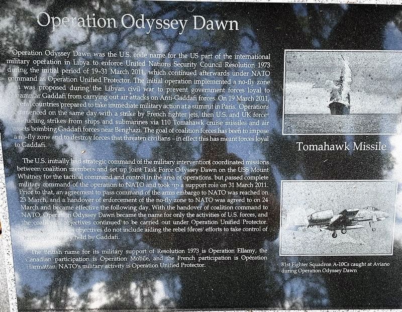 HILLSBOROUGH COUNTY OPERATION ODYSSEY DAWN MEMORIAL PLAQUE