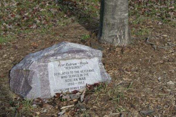 KOREAN WAR VETERANS MEMORIAL MAPLE TREE PLAQUE