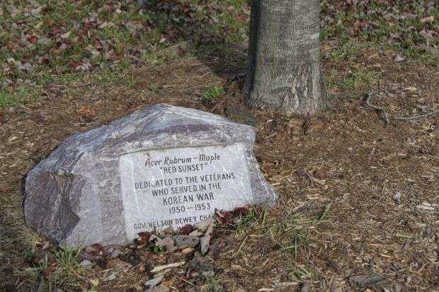 KOREAN WAR VETERANS MEMORIAL MAPLE TREE PLAQUE