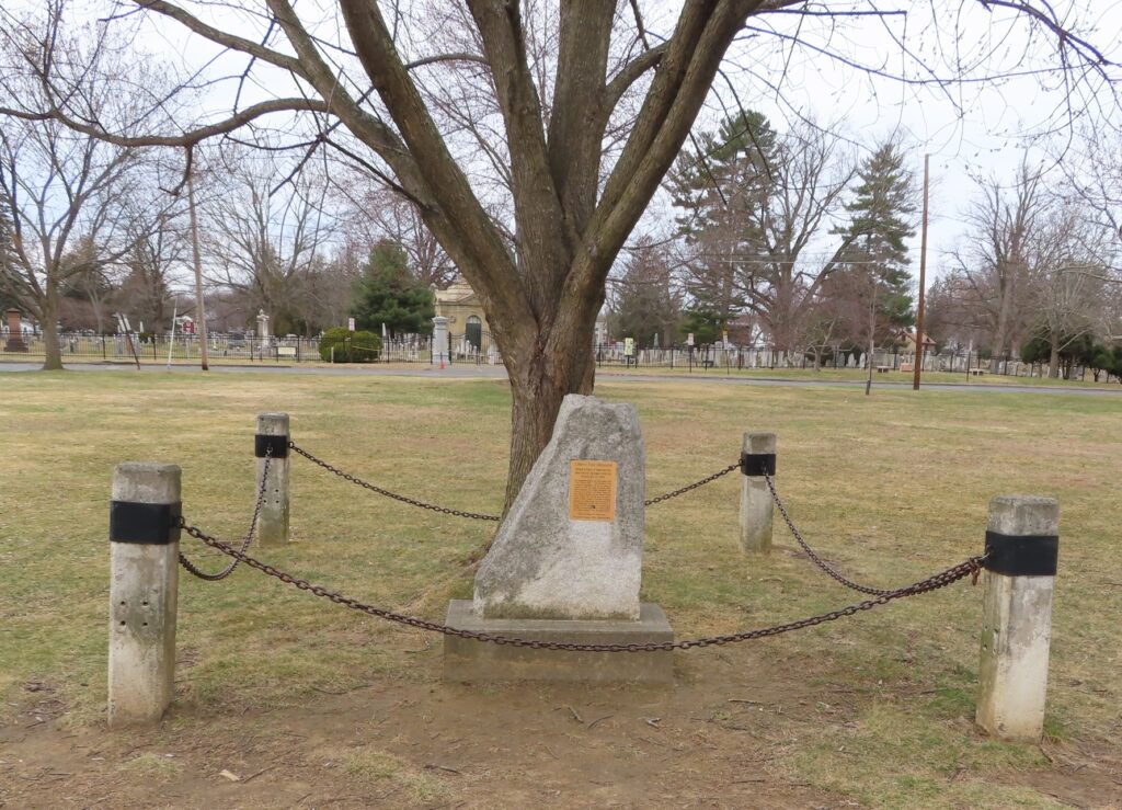 LIBERTY TREE MEMORIAL SEPTEMBER 11, 2001