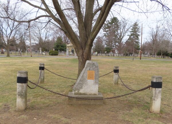 LIBERTY TREE MEMORIAL SEPTEMBER 11, 2001