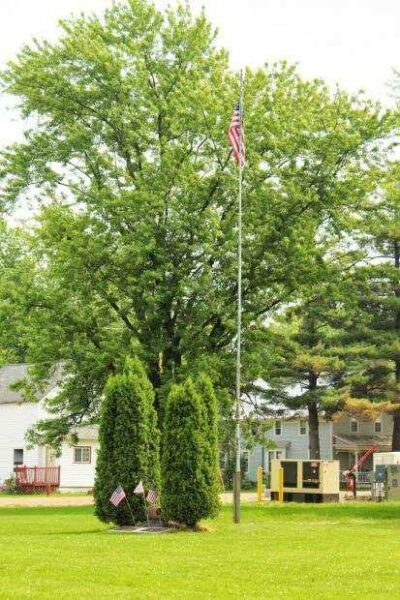 CURTISS PARK VETERANS MEMORIAL TREE