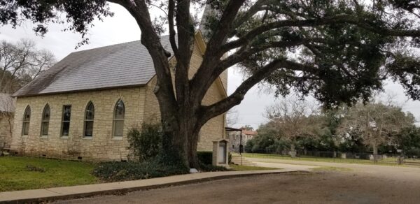 SGT. WILLIAM FOSTER WAR MEMORIAL TREE