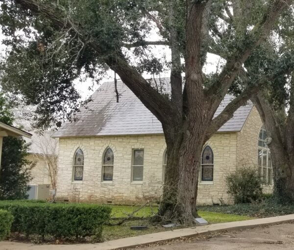 NORMAN L. LANIER WAR MEMORIAL TREE