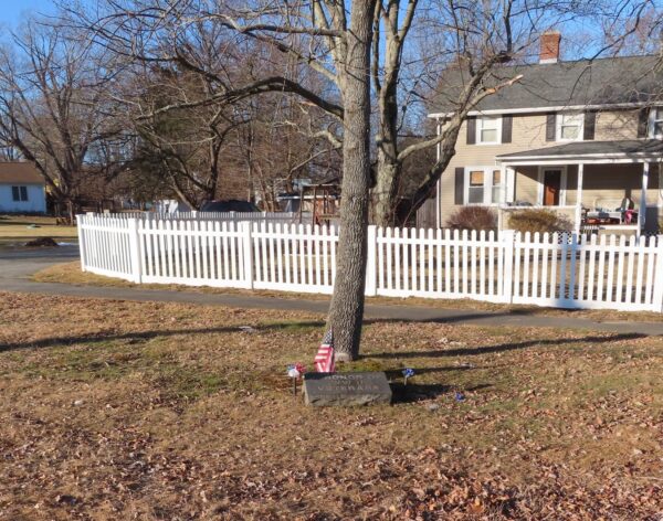 IN HONOR OF WWII VETERANS MEMORIAL TREE