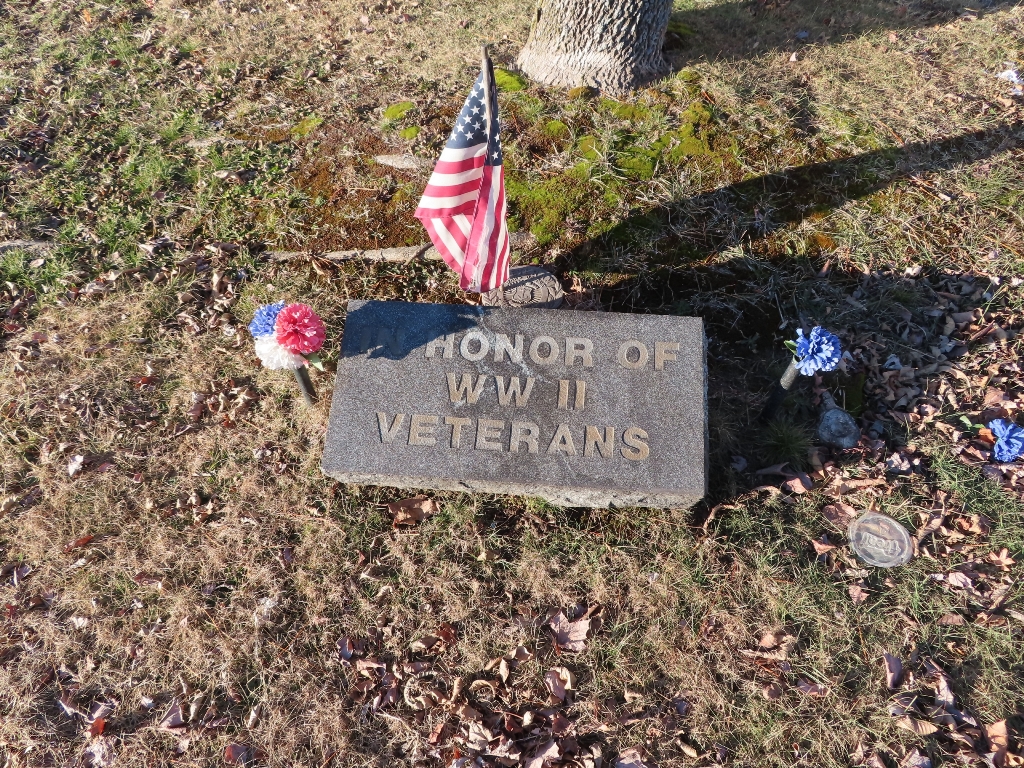 IN HONOR OF WWII VETERANS MEMORIAL TREE STONE