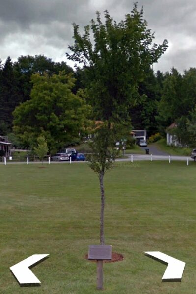 CABOT LIBERTY TREE MEMORIAL