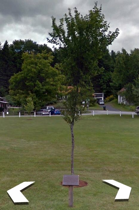 CABOT LIBERTY TREE MEMORIAL
