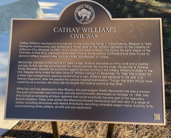 CATHAY WILLIAMS CIVIL WAR MEMORIAL PLAQUE