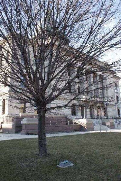 MANITOWOC G.A.R. MEMORIAL TREE