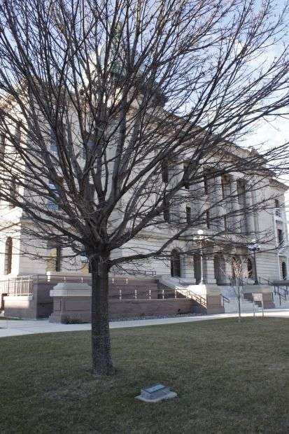 MANITOWOC G.A.R. MEMORIAL TREE