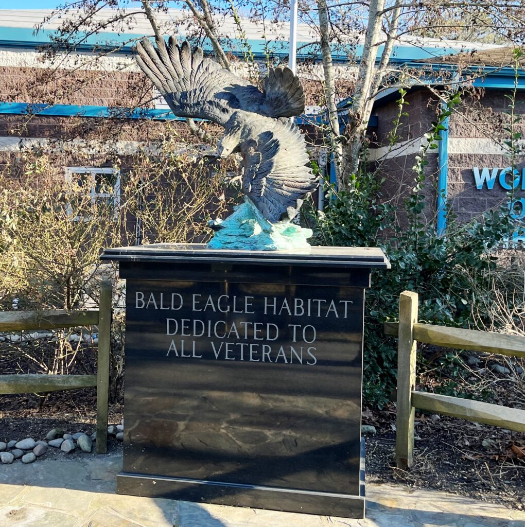 BALD EAGLE HABITAT DEDICATED TO ALL VETERANS MEMORIAL