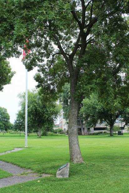 LA CROSSE WORLD WAR I VETERANS MEMORIAL TREE