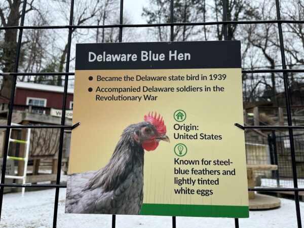 DELAWARE BLUE HEN REVOLUTIONARY WAR MEMORIAL PLAQUE