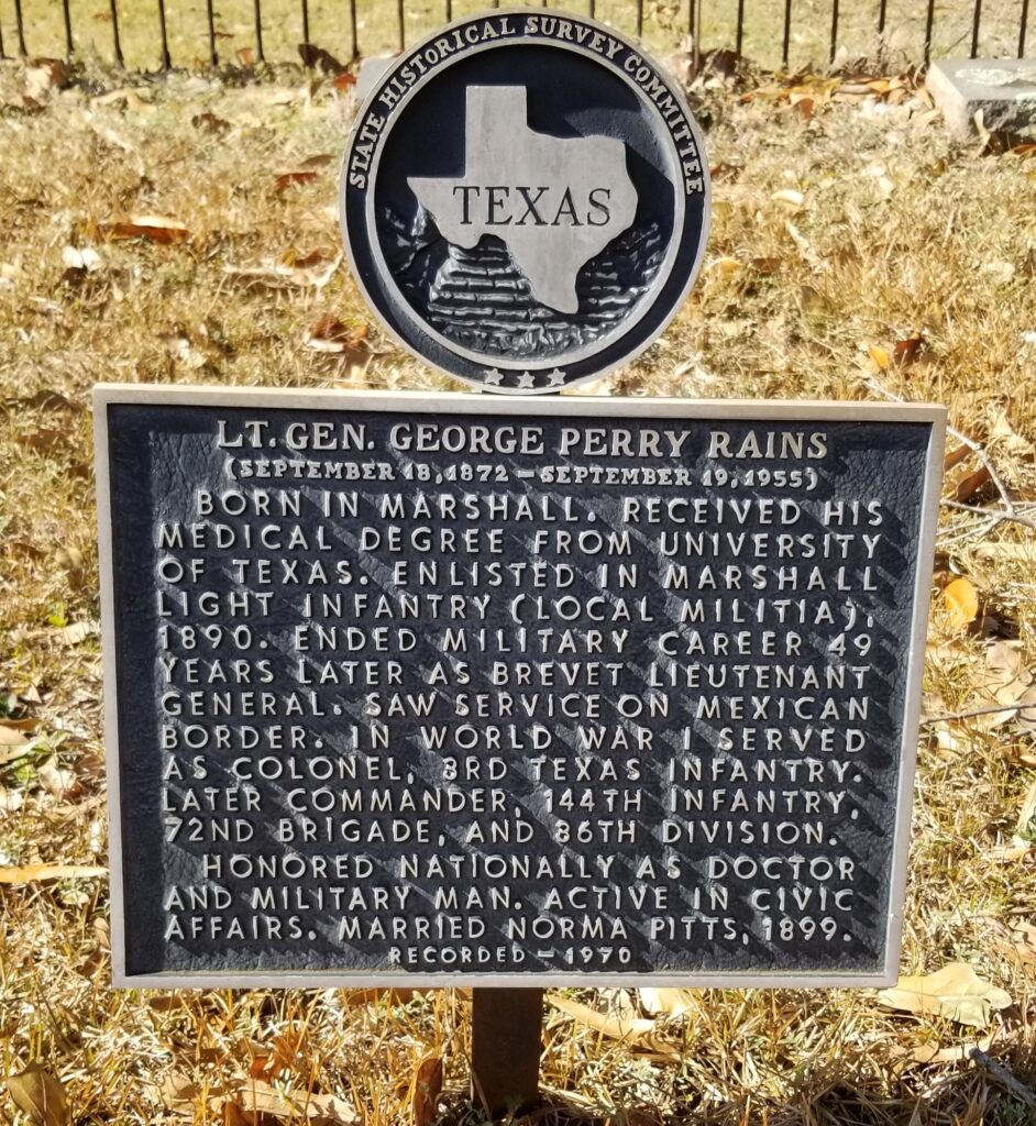 LT. GEN. GEORGE PERRY RAINS WAR MEMORIAL MARKER