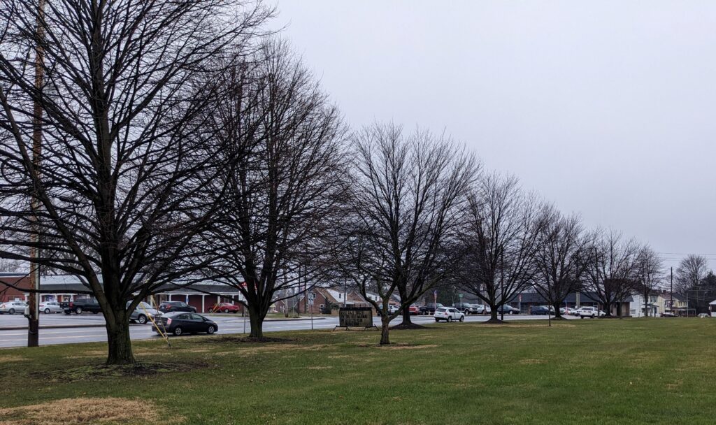 9/11 REMEMBRANCE TREES 9 PLANTED ON WEST SIDE MEMORIAL
