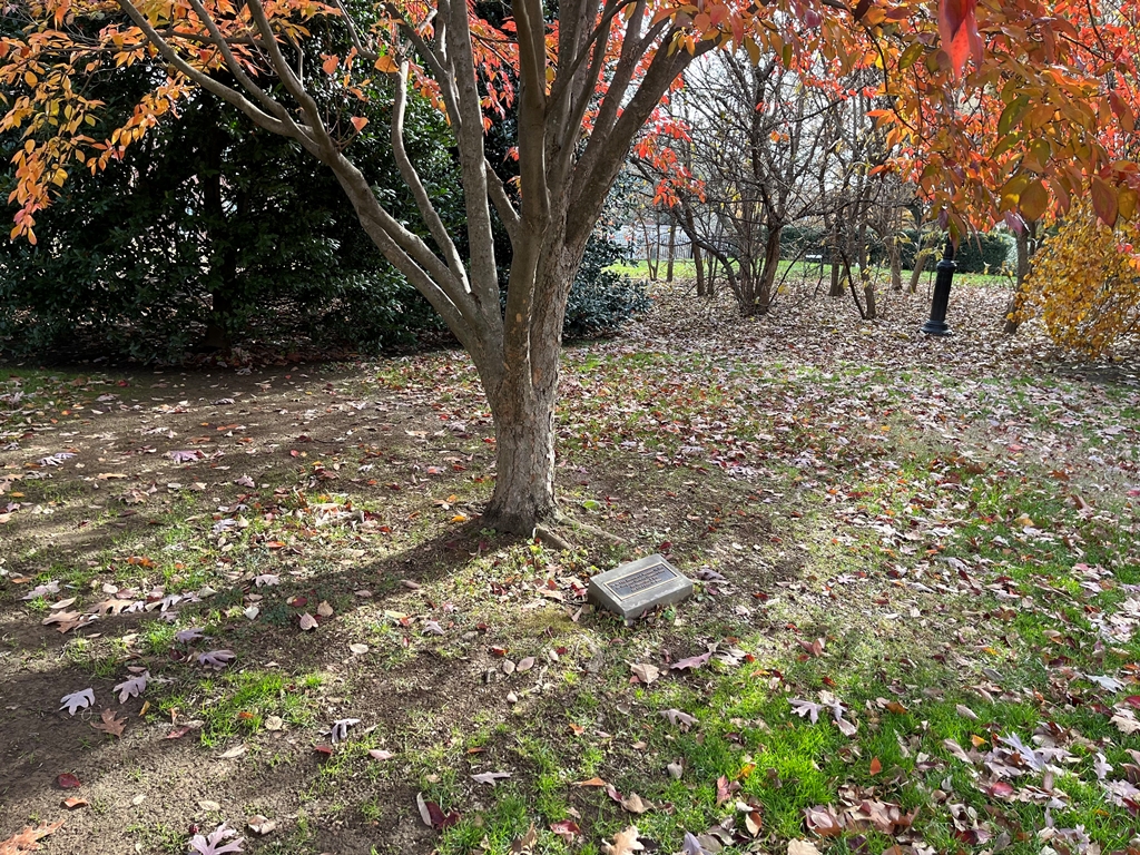 GEORGETOWN UNIVERSITY COMMUNITY SEPTEMBER 11, 2001 MEMORIAL TREE