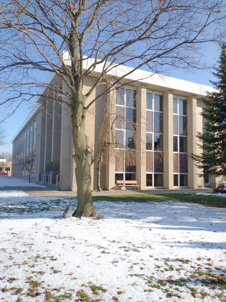 THE FREEDOM TREE COL. WILLIAM H. NELSON MEMORIAL
