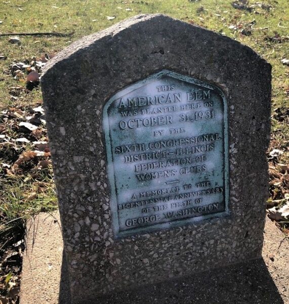 AMERICAN ELM GEORGE WASHINGTON MEMORIAL TREE PLAQUE