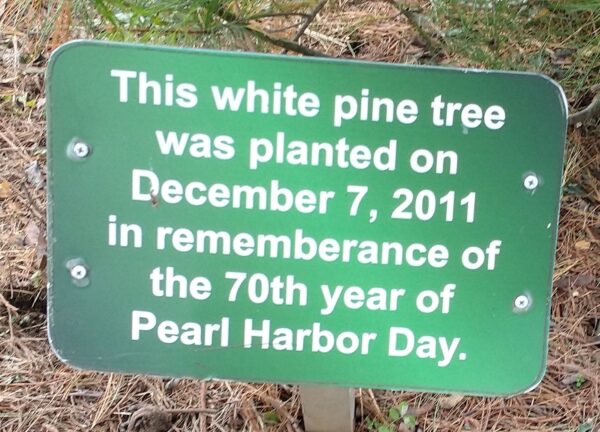 70TH YEAR OF PEARL HARBOR DAY MEMORIAL TREE PLAQUE