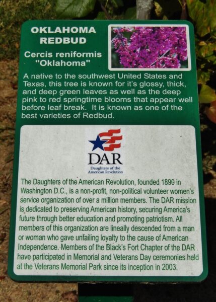 DAUGHTERS OF THE AMERICAN REVOLUTION MEMORIAL TREE PLAQUE