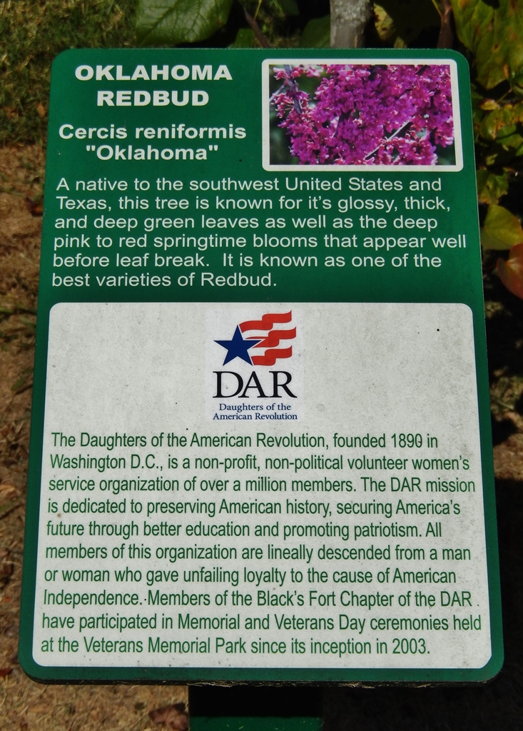 DAUGHTERS OF THE AMERICAN REVOLUTION MEMORIAL TREE PLAQUE