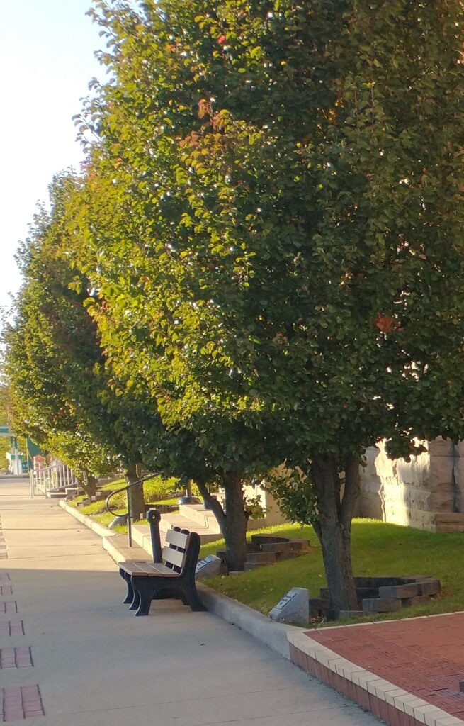 MONROE POST NO. 87 WAR MEMORIAL TREES