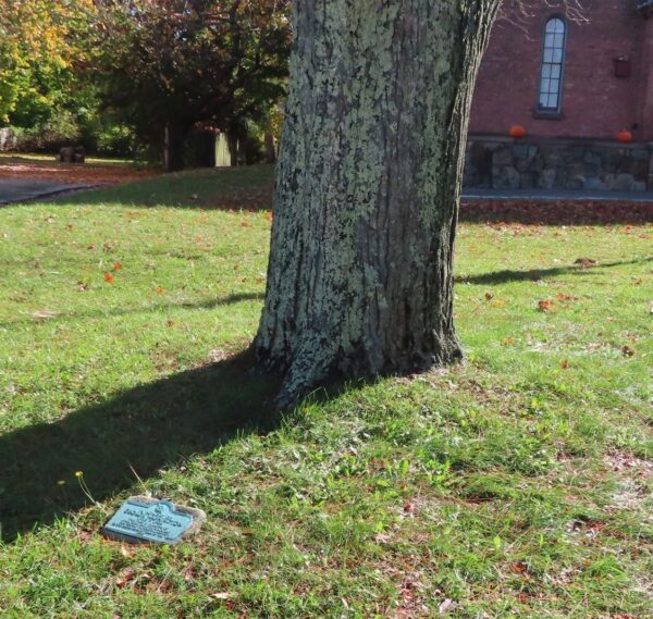 TAUNTON GEORGE WASHINGTON MEMORIAL TREE