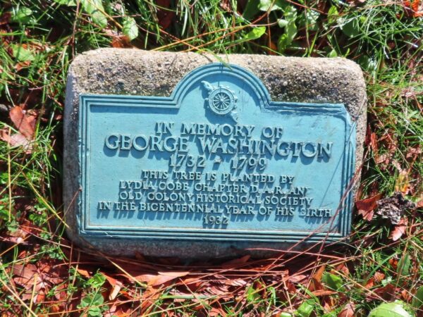 TAUNTON GEORGE WASHINGTON MEMORIAL TREE PLAQUE