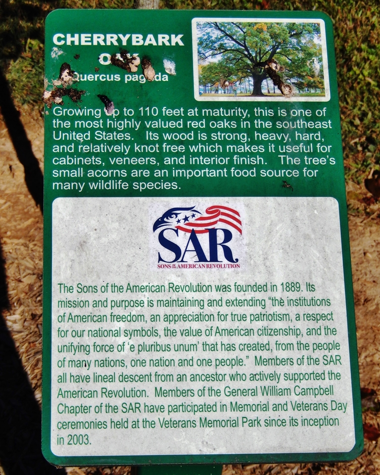 SONS OF THE AMERICAN REVOLUTION MEMORIAL TREE PLAQUE