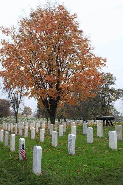 AMERICA’S MEDAL OF HONOR RECIPIENT MEMORIAL TREE