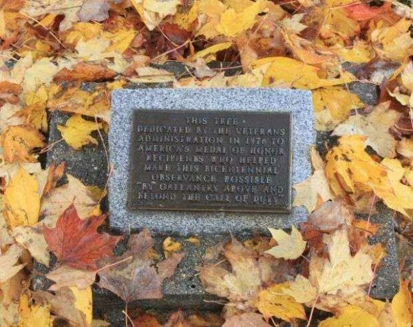 AMERICA’S MEDAL OF HONOR RECIPIENT MEMORIAL TREE PLAQUE