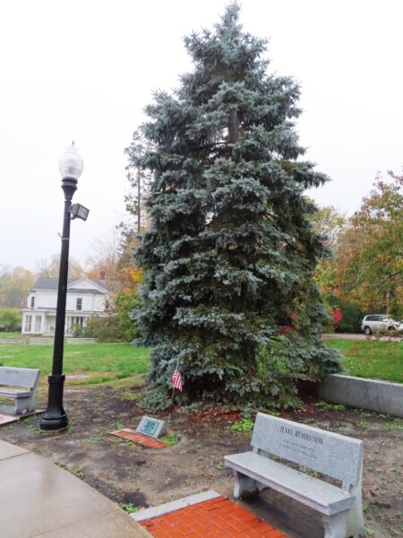 WAYNE M. CARON MEDAL OF HONOR WAR MEMORIAL TREE