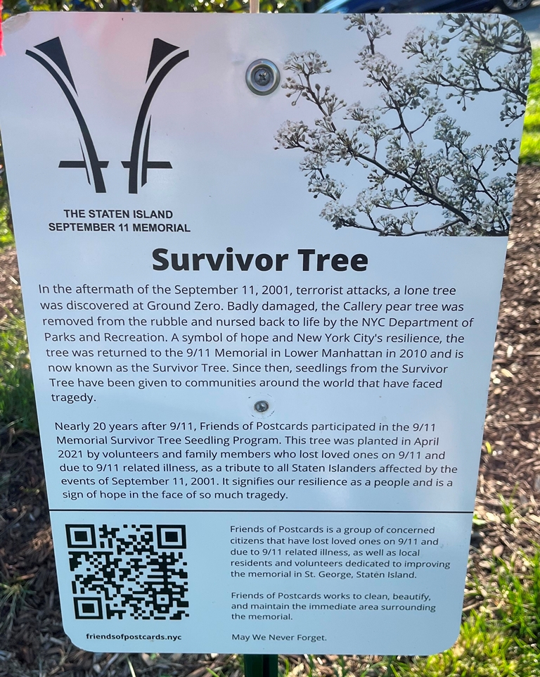 THE STATEN ISLAND SEPTEMBER 11, 2001 MEMORIAL SURVIVOR TREE PLAQUE