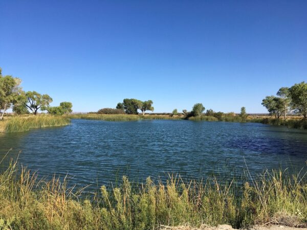 MAJOR GENERAL IRVING L. BRANCH MEMORIAL PARK