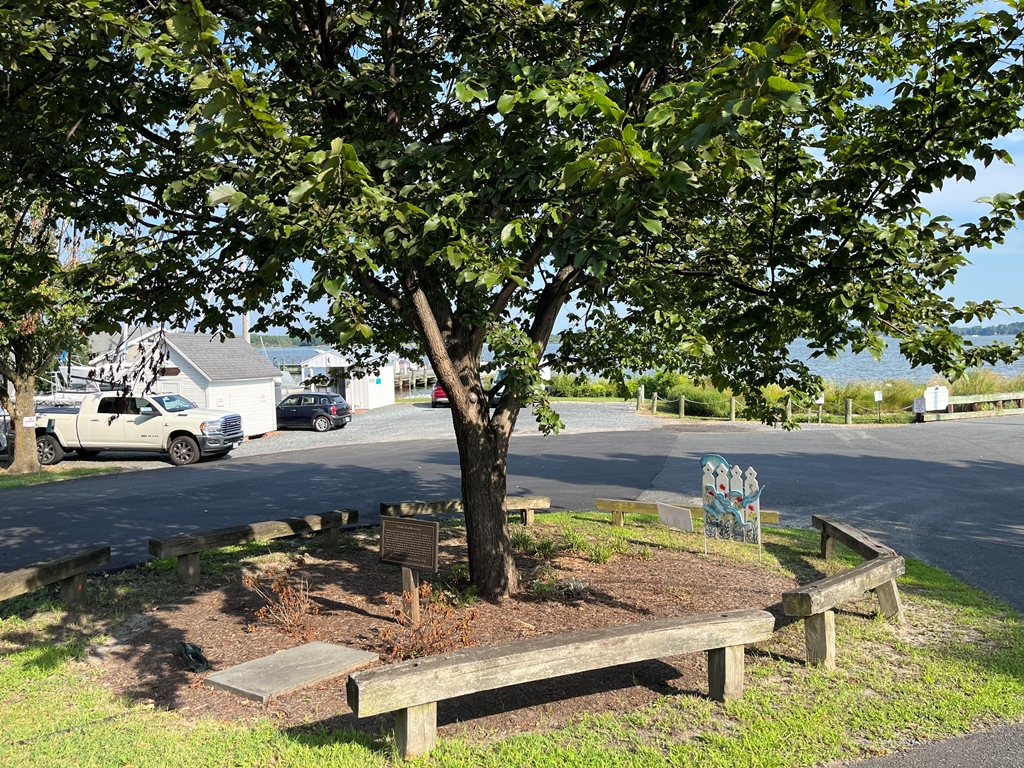 OXFORD LIBERTY TREE MEMORIAL