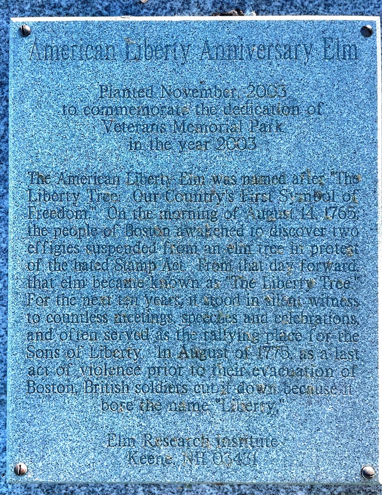 AMERICAN LIBERTY ANNIVERSARY ELM MEMORIAL PLAQUE