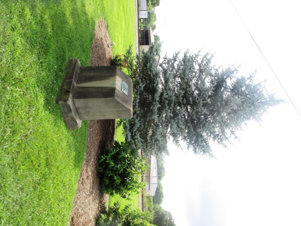 CARLISLE JUNIOR GARDEN CLUB WW II MEMORIAL TREE