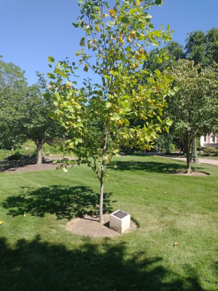 COLUMBUS LIBERTY TREE MEMORIAL