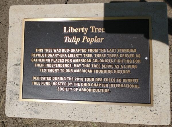 COLUMBUS LIBERTY TREE MEMORIAL PLAQUE