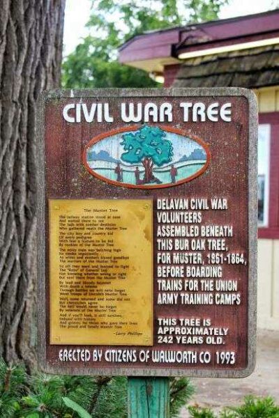 CIVIL WAR TREE MEMORIAL PLAQUE