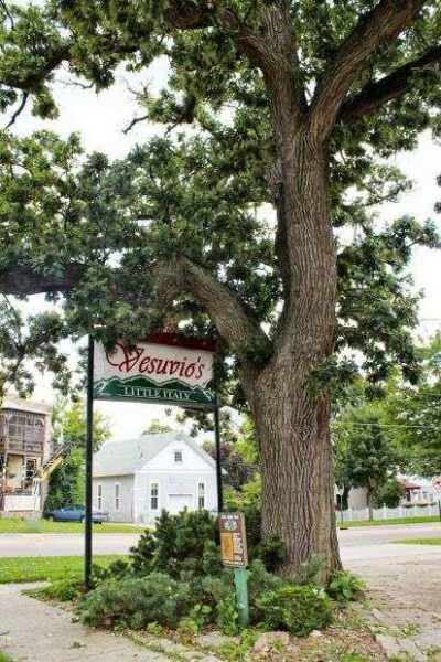 CIVIL WAR TREE MEMORIAL